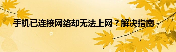 手机已连接网络却无法上网？解决指南