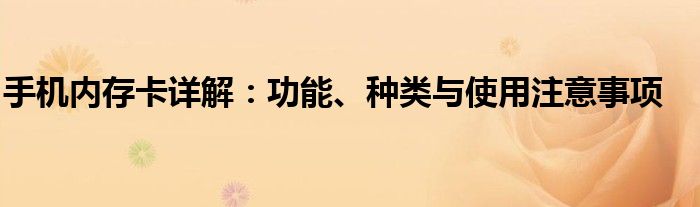 手机内存卡详解：功能、种类与使用注意事项