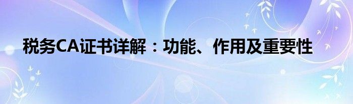 税务CA证书详解：功能、作用及重要性