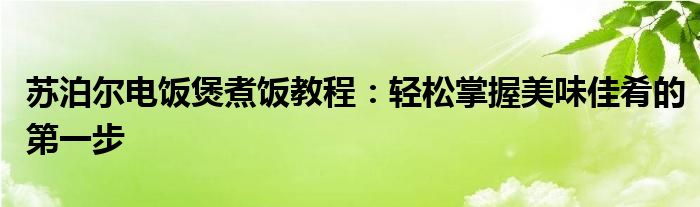 苏泊尔电饭煲煮饭教程：轻松掌握美味佳肴的第一步