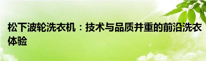 松下波轮洗衣机：技术与品质并重的前沿洗衣体验