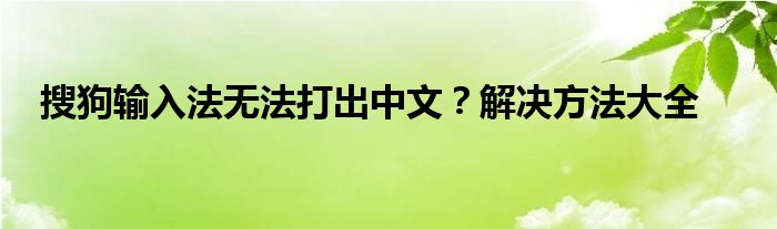 搜狗输入法无法打出中文？解决方法大全