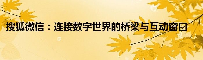 搜狐微信：连接数字世界的桥梁与互动窗口