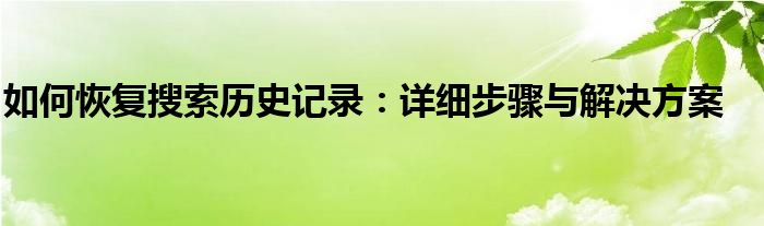 如何恢复搜索历史记录：详细步骤与解决方案