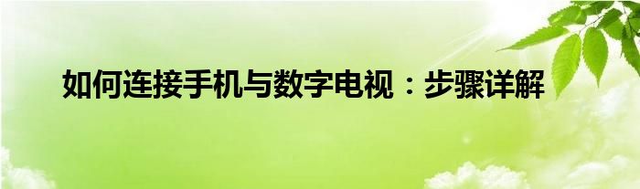 如何连接手机与数字电视：步骤详解