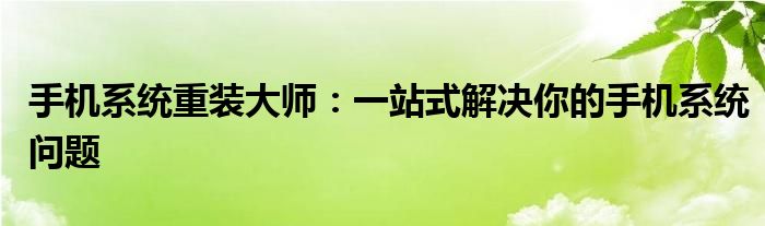 手机系统重装大师：一站式解决你的手机系统问题