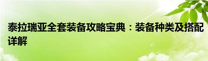 泰拉瑞亚全套装备攻略宝典：装备种类及搭配详解