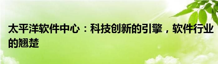 太平洋软件中心：科技创新的引擎，软件行业的翘楚