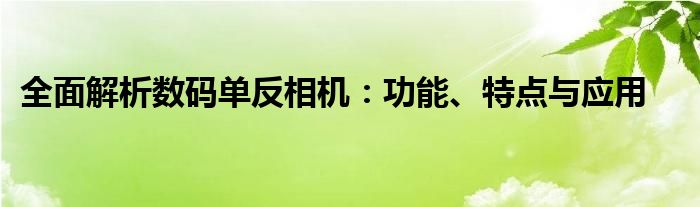 全面解析数码单反相机：功能、特点与应用