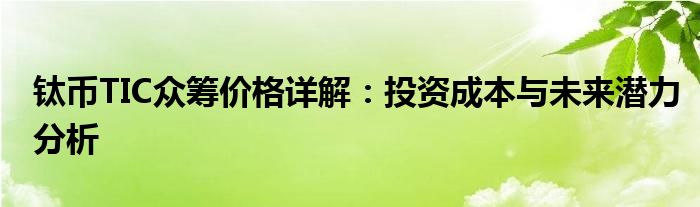 钛币TIC众筹价格详解：投资成本与未来潜力分析