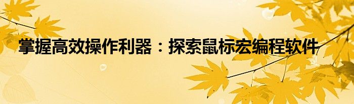 掌握高效操作利器：探索鼠标宏编程软件