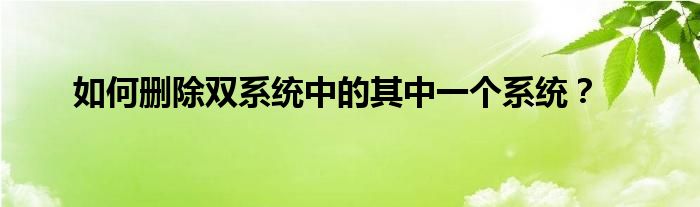 如何删除双系统中的其中一个系统？