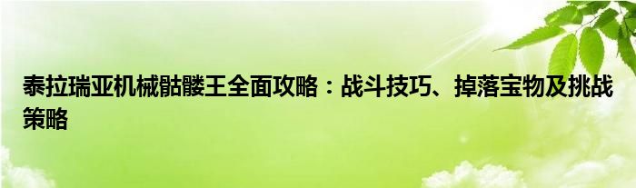 泰拉瑞亚机械骷髅王全面攻略：战斗技巧、掉落宝物及挑战策略