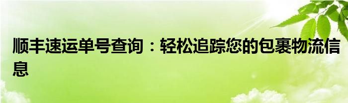 顺丰速运单号查询：轻松追踪您的包裹物流信息