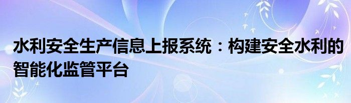 水利安全生产信息上报系统：构建安全水利的智能化监管平台