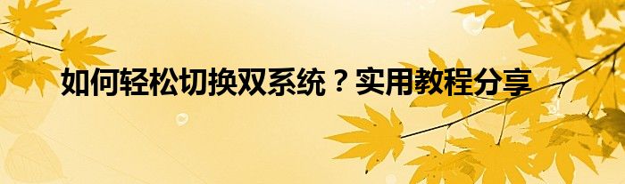 如何轻松切换双系统？实用教程分享