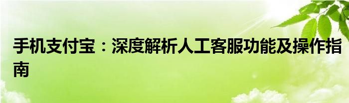 手机支付宝：深度解析人工客服功能及操作指南