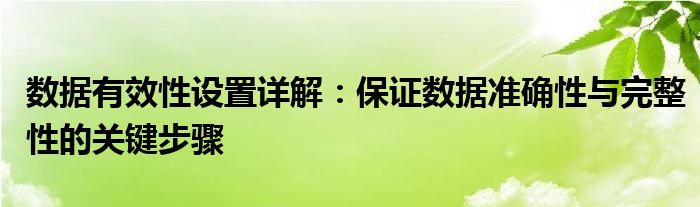 数据有效性设置详解：保证数据准确性与完整性的关键步骤