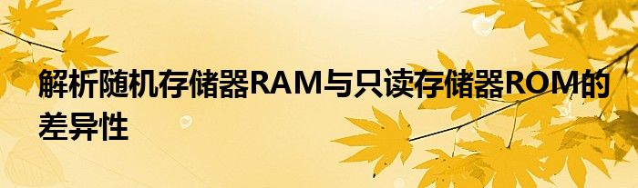 解析随机存储器RAM与只读存储器ROM的差异性