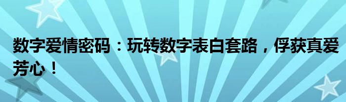 数字爱情密码：玩转数字表白套路，俘获真爱芳心！