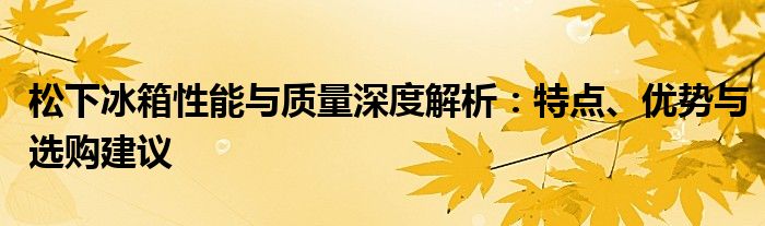 松下冰箱性能与质量深度解析：特点、优势与选购建议