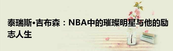 泰瑞斯·吉布森：NBA中的璀璨明星与他的励志人生