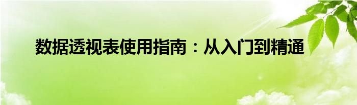 数据透视表使用指南：从入门到精通