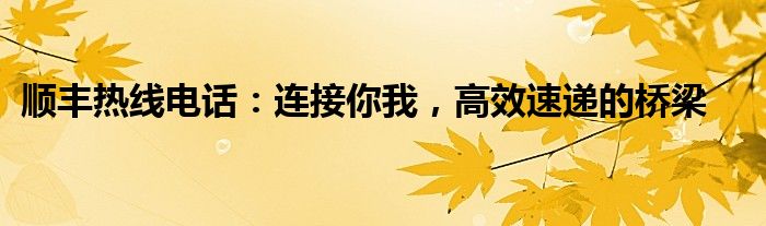 顺丰热线电话：连接你我，高效速递的桥梁