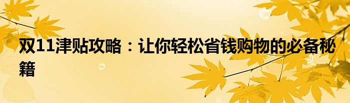 双11津贴攻略：让你轻松省钱购物的必备秘籍