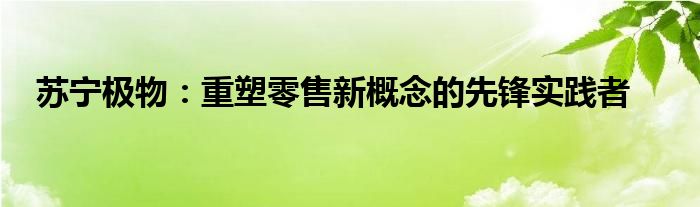 苏宁极物：重塑零售新概念的先锋实践者