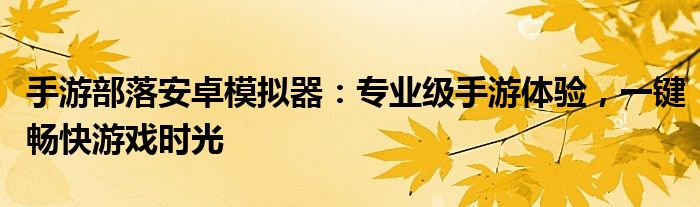 手游部落安卓模拟器：专业级手游体验，一键畅快游戏时光