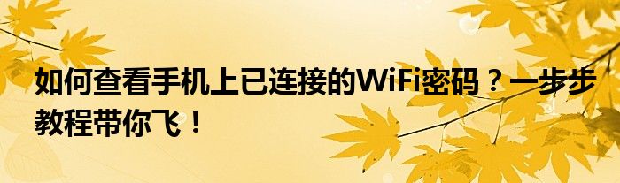 如何查看手机上已连接的WiFi密码？一步步教程带你飞！