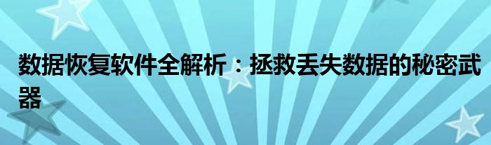 数据恢复软件全解析：拯救丢失数据的秘密武器