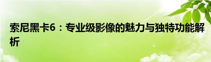 索尼黑卡6：专业级影像的魅力与独特功能解析