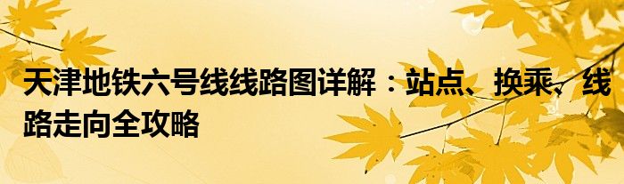 天津地铁六号线线路图详解：站点、换乘、线路走向全攻略