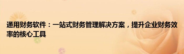 通用财务软件：一站式财务管理解决方案，提升企业财务效率的核心工具