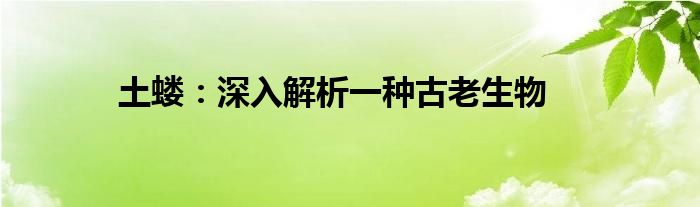 土蝼：深入解析一种古老生物