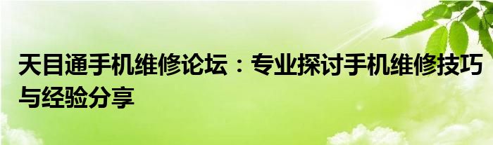 天目通手机维修论坛：专业探讨手机维修技巧与经验分享