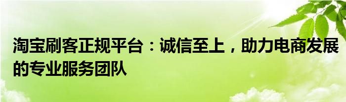 淘宝刷客正规平台：诚信至上，助力电商发展的专业服务团队