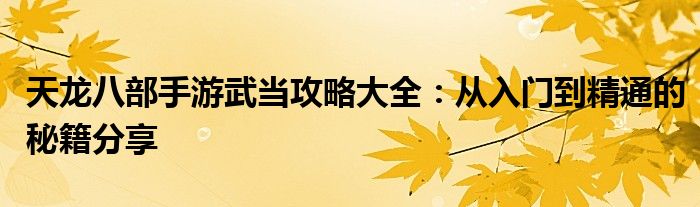 天龙八部手游武当攻略大全：从入门到精通的秘籍分享