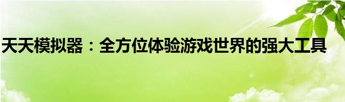 天天模拟器：全方位体验游戏世界的强大工具