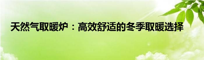 天然气取暖炉：高效舒适的冬季取暖选择