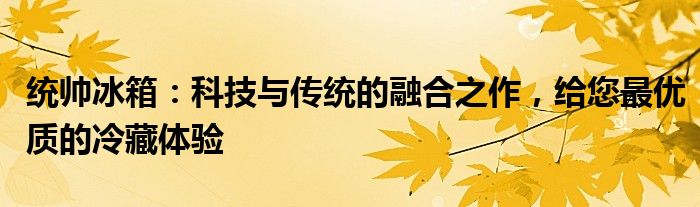 统帅冰箱：科技与传统的融合之作，给您最优质的冷藏体验