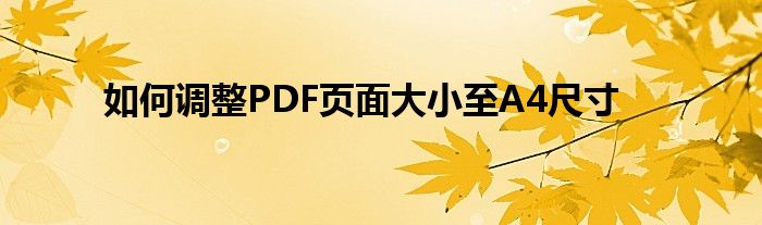 如何调整PDF页面大小至A4尺寸