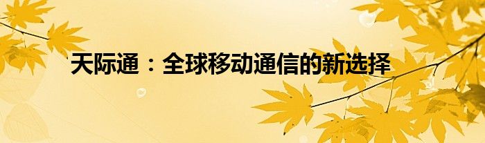 天际通：全球移动通信的新选择