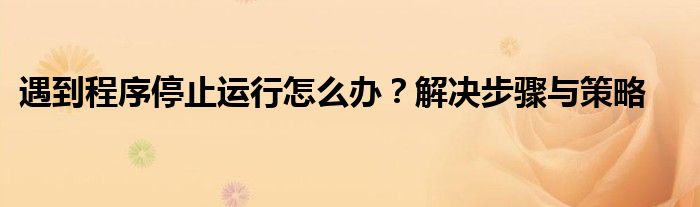 遇到程序停止运行怎么办？解决步骤与策略