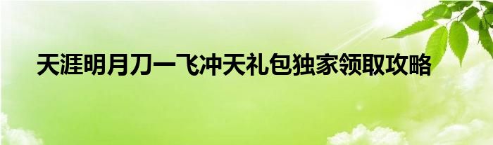 天涯明月刀一飞冲天礼包独家领取攻略