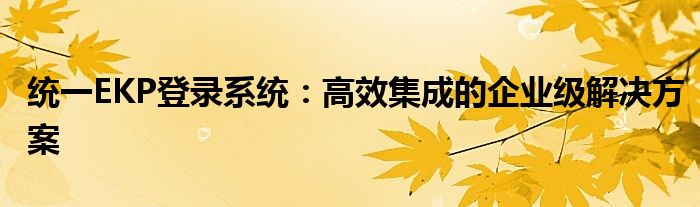 统一EKP登录系统：高效集成的企业级解决方案