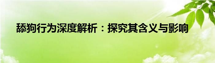 舔狗行为深度解析：探究其含义与影响