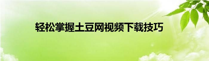 轻松掌握土豆网视频下载技巧